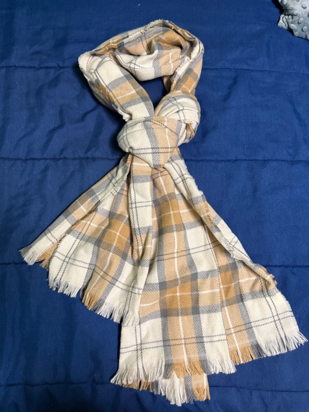 GAP Scarf